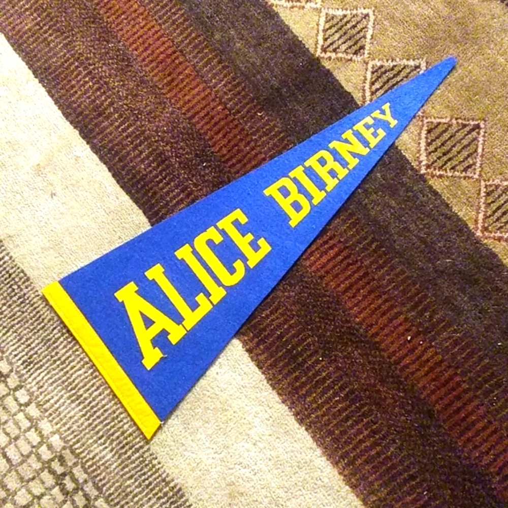 Vintage Souvenir Pennant
